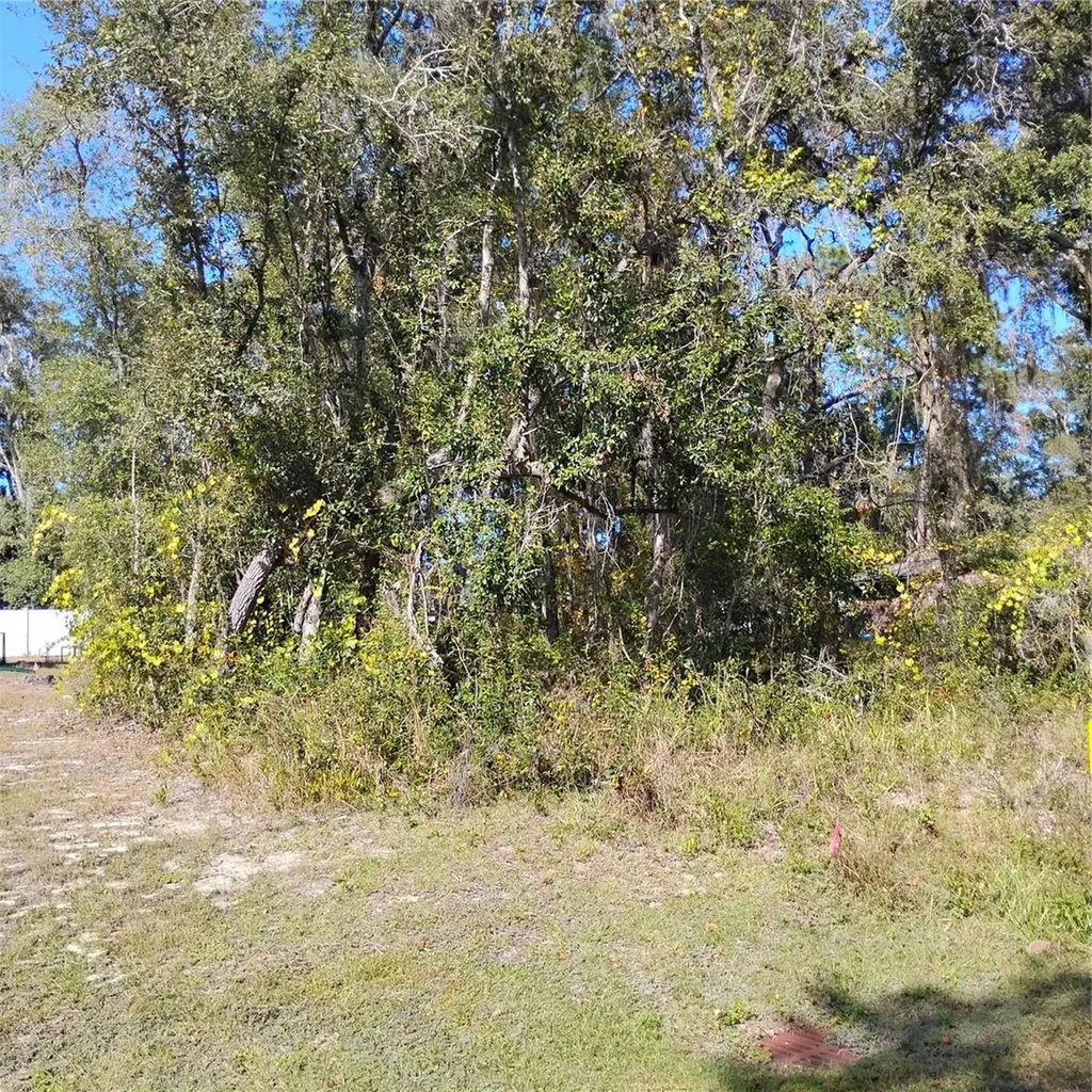 Tbd SE 61st Place Ocklawaha FL 32179