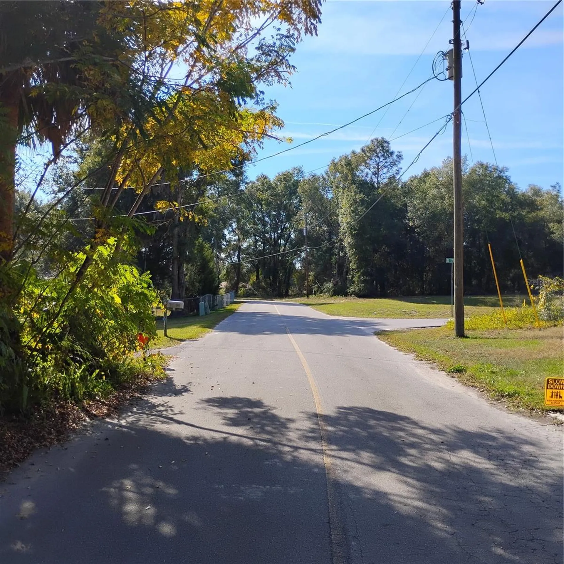 Tbd SE 61st Place Ocklawaha FL 32179
