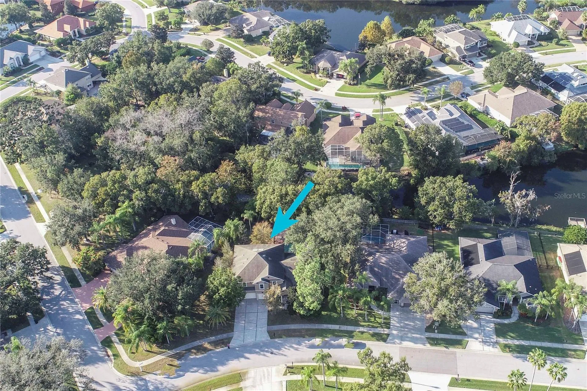 5703 Golden Owl Loop Land O Lakes FL 34638