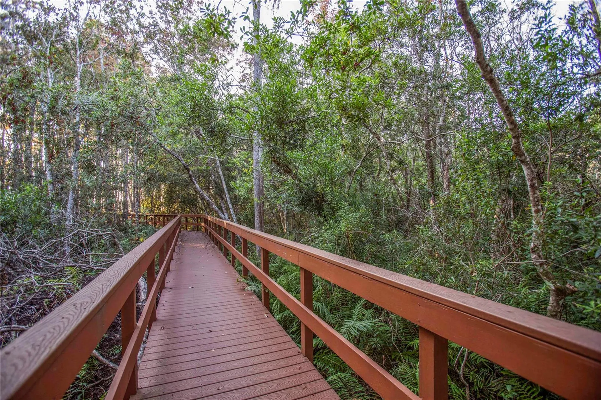 5703 Golden Owl Loop Land O Lakes FL 34638