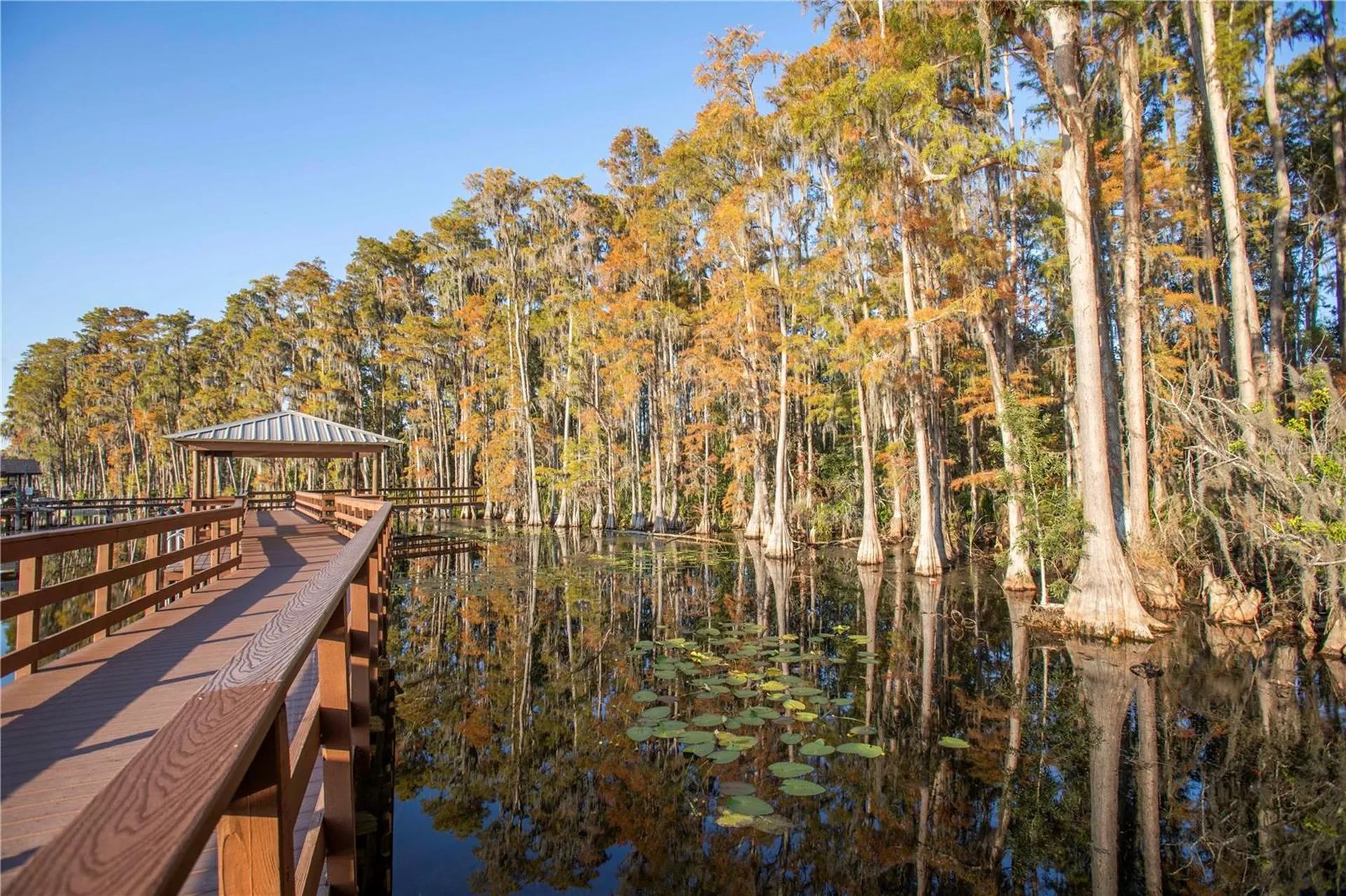 5703 Golden Owl Loop Land O Lakes FL 34638