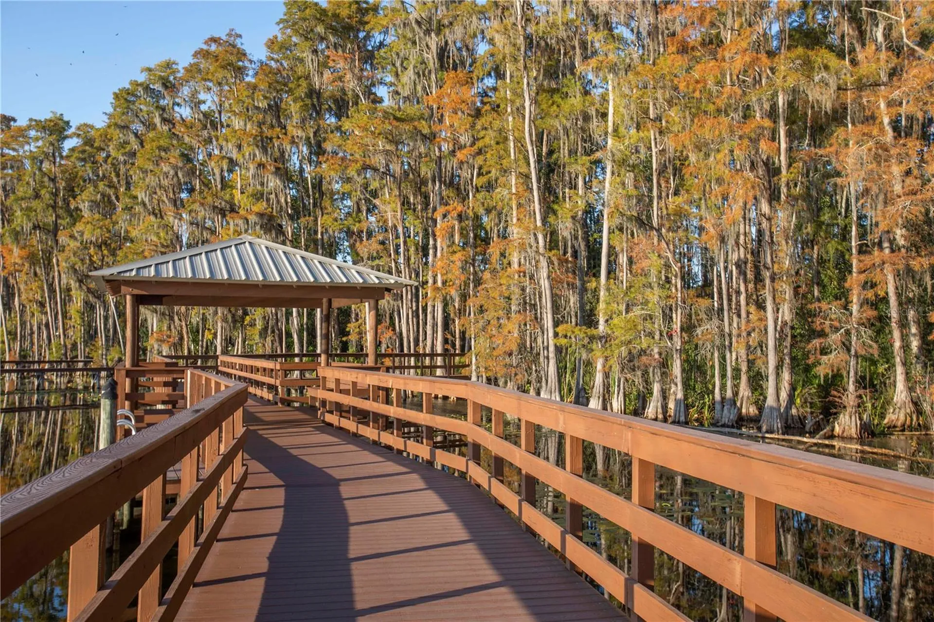 5703 Golden Owl Loop Land O Lakes FL 34638