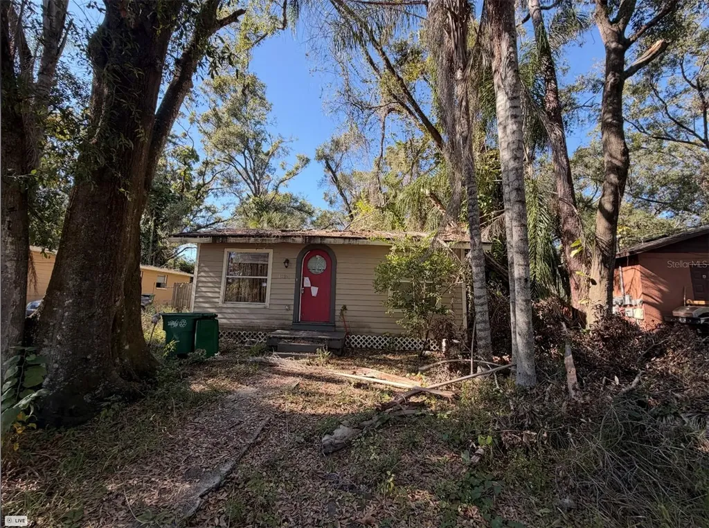 1724 E Mulberry Drive Tampa FL 33604
