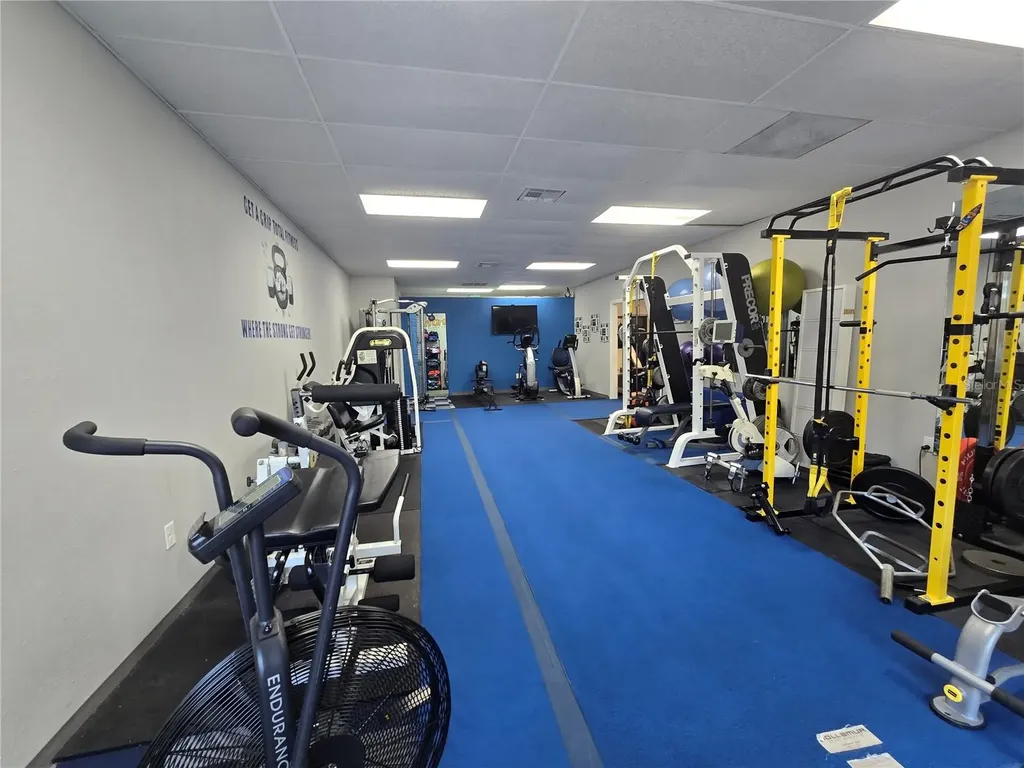 3940 Lake Padgett Drive Land O Lakes FL 34639