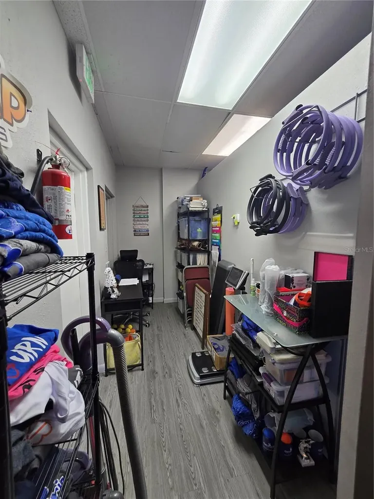 3940 Lake Padgett Drive Land O Lakes FL 34639