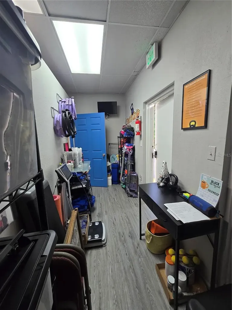 3940 Lake Padgett Drive Land O Lakes FL 34639