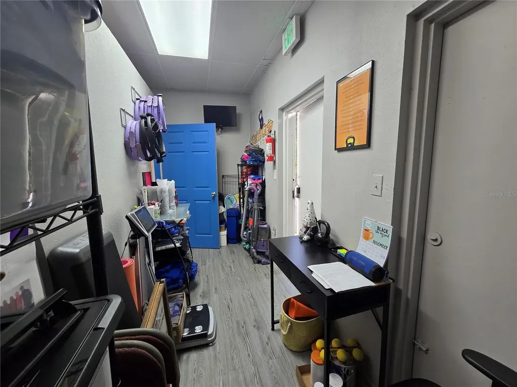 3940 Lake Padgett Drive Land O Lakes FL 34639