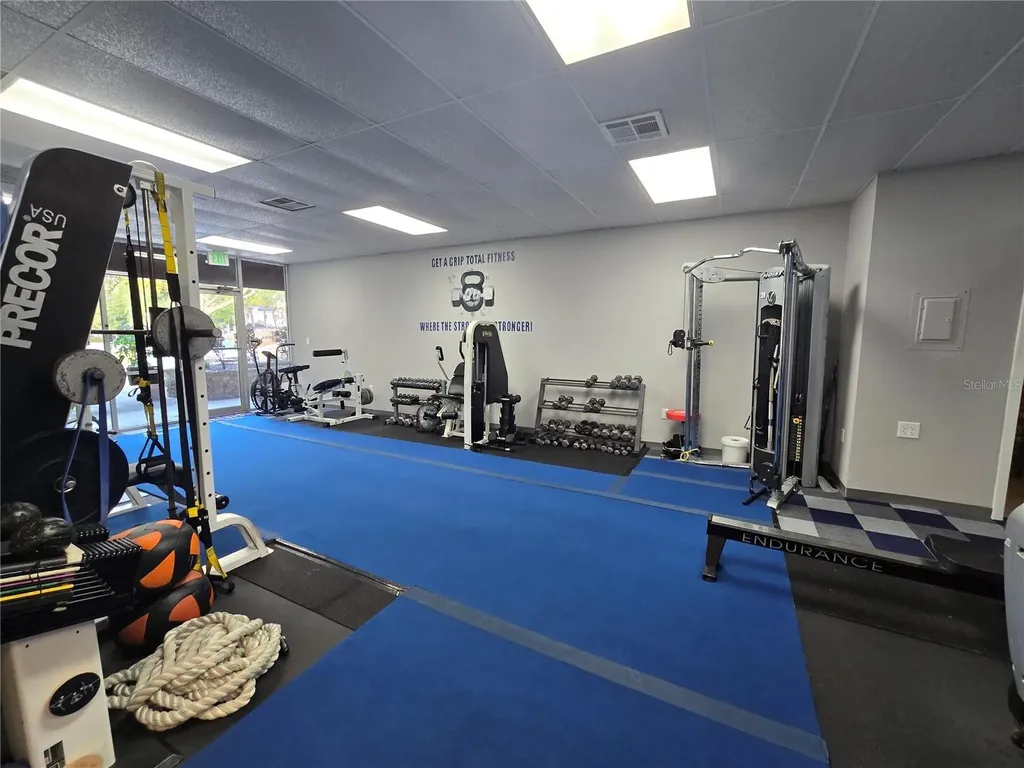 3940 Lake Padgett Drive Land O Lakes FL 34639