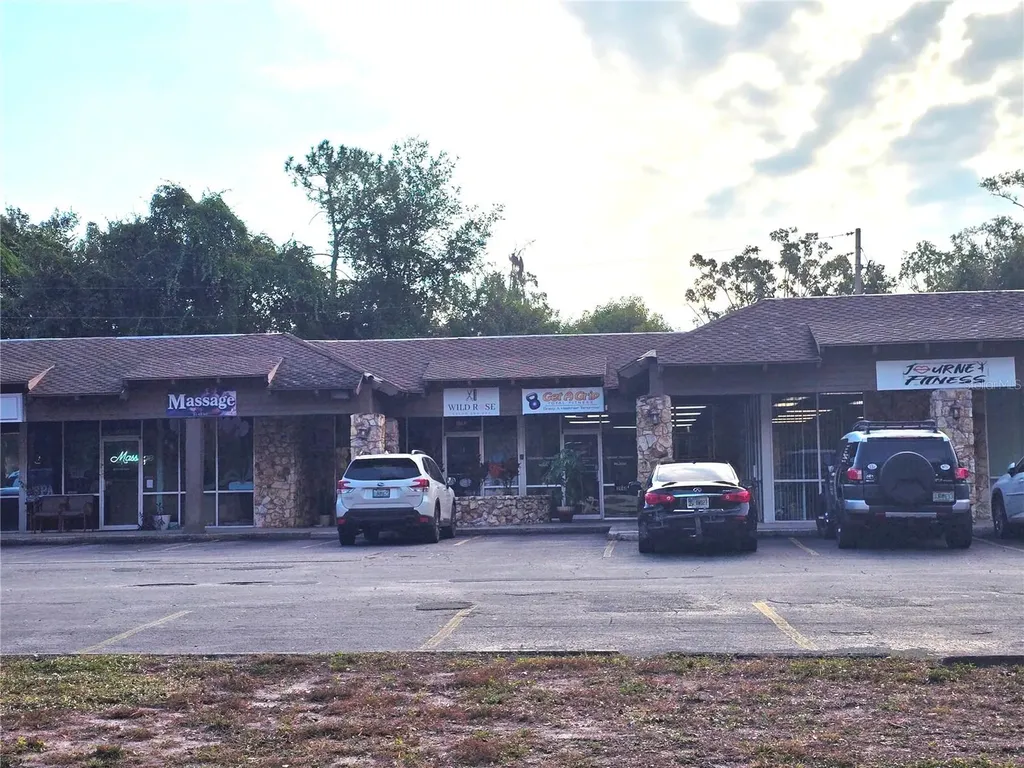 3940 Lake Padgett Drive Land O Lakes FL 34639