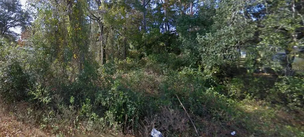 SE 173rd Court Silver Springs FL 34488