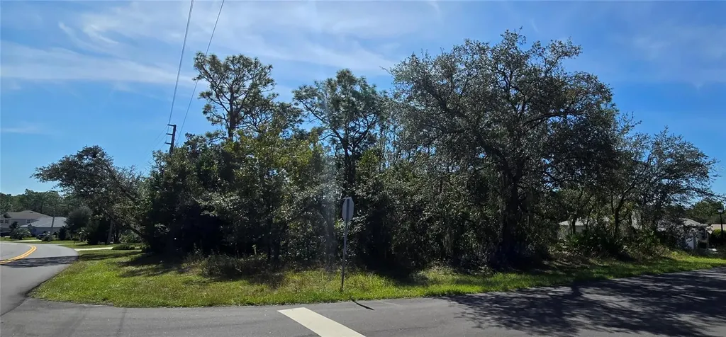 1 Buckeye Court Homosassa FL 34446