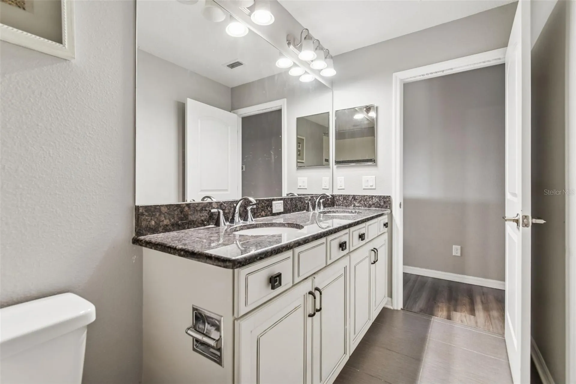 11748 Albatross Lane Riverview FL 33569