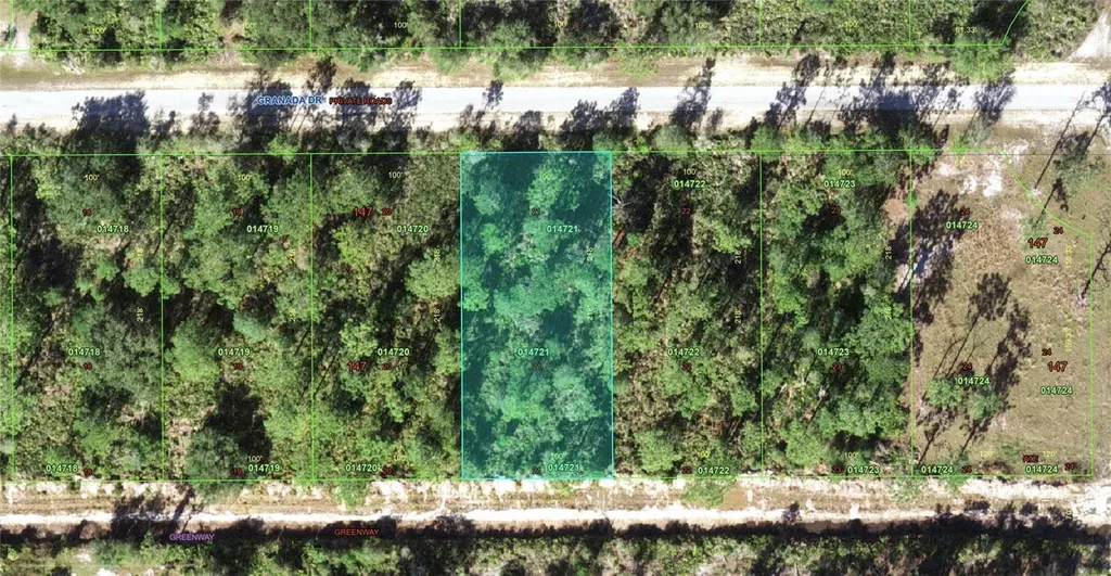 907 Granada Drive Indian Lake Estates FL 33855