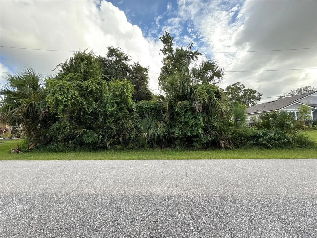 38 Pineapple Drive Palm Coast FL 32164