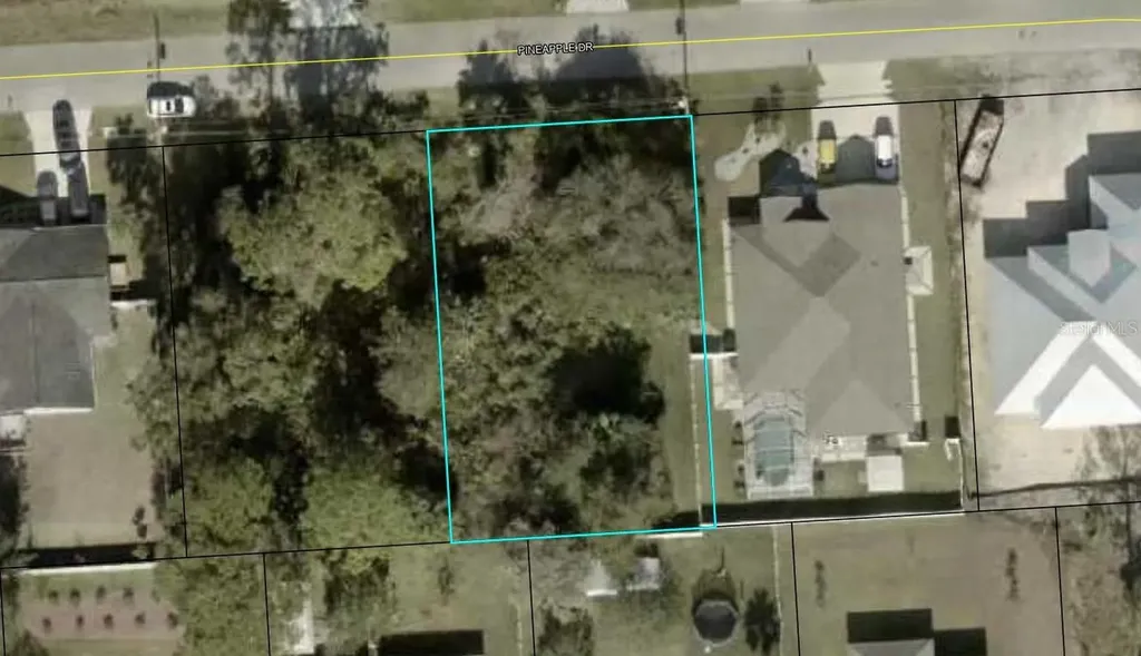 38 Pineapple Drive Palm Coast FL 32164