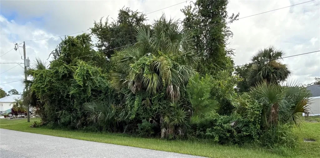 38 Pineapple Drive Palm Coast FL 32164