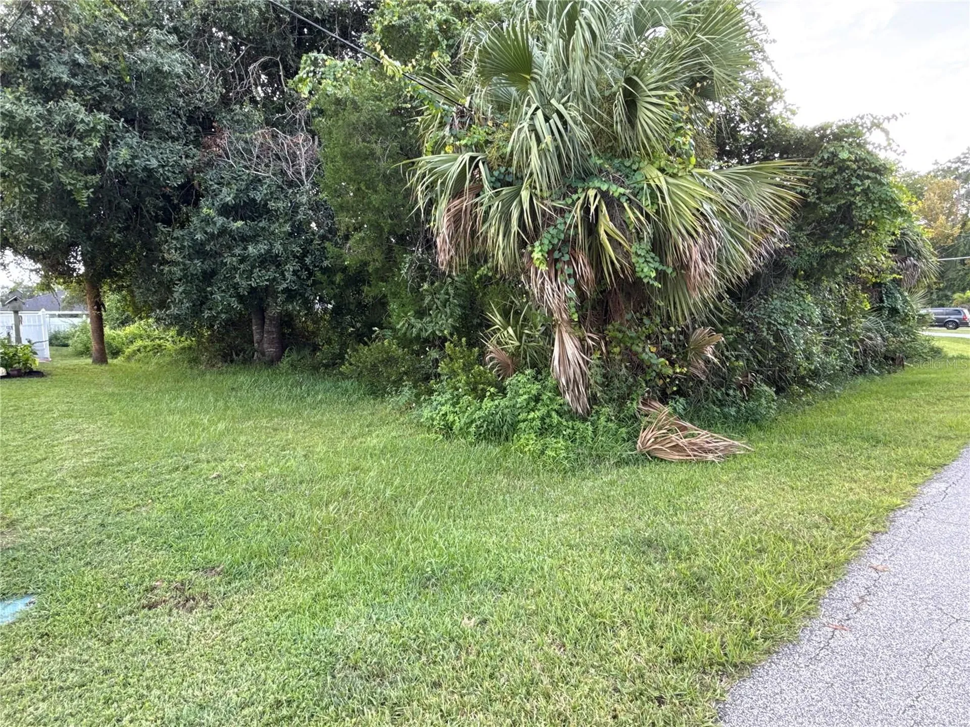 38 Pineapple Drive Palm Coast FL 32164