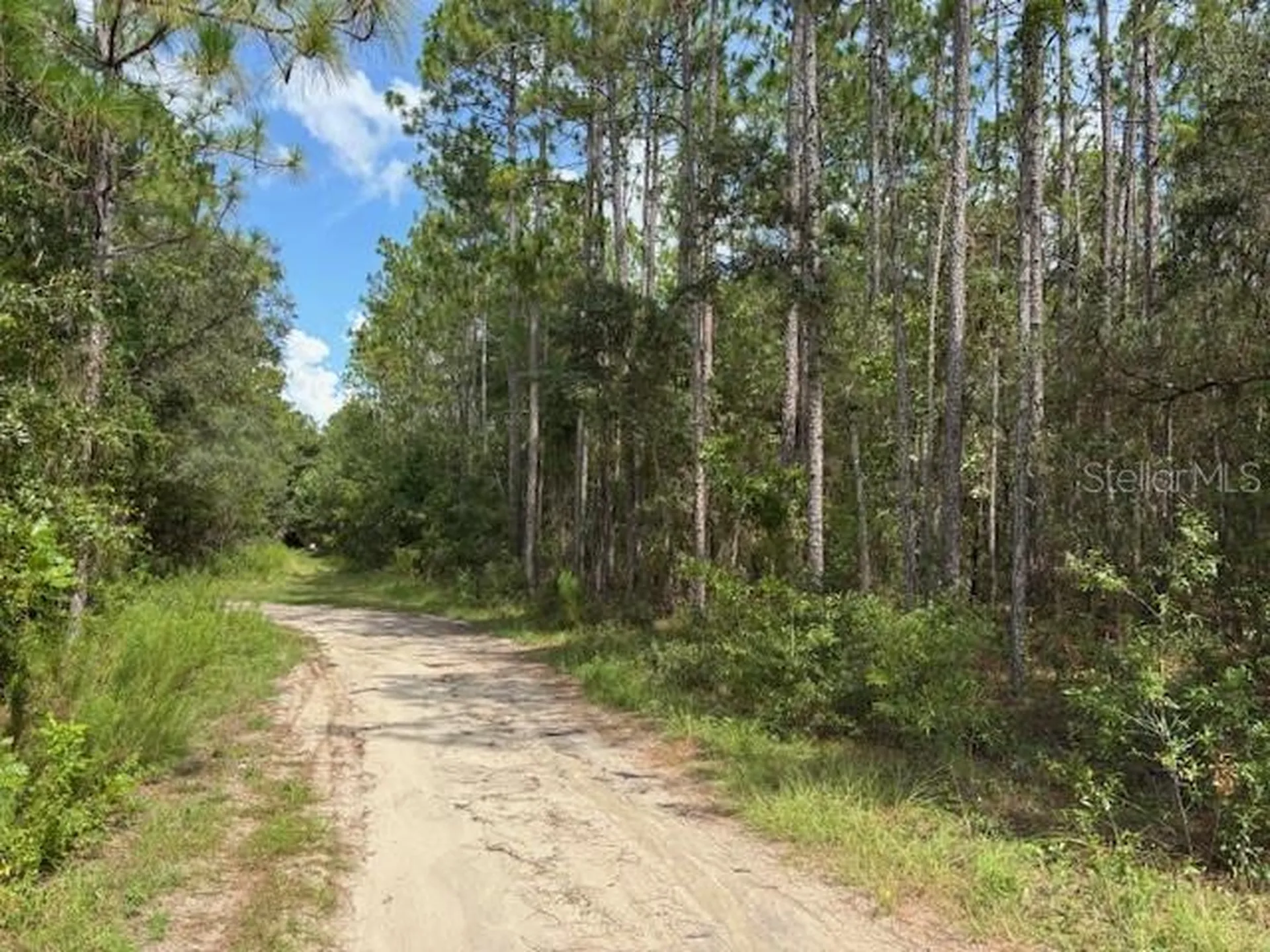 0000 SW 39th Street Dunnellon FL 34432