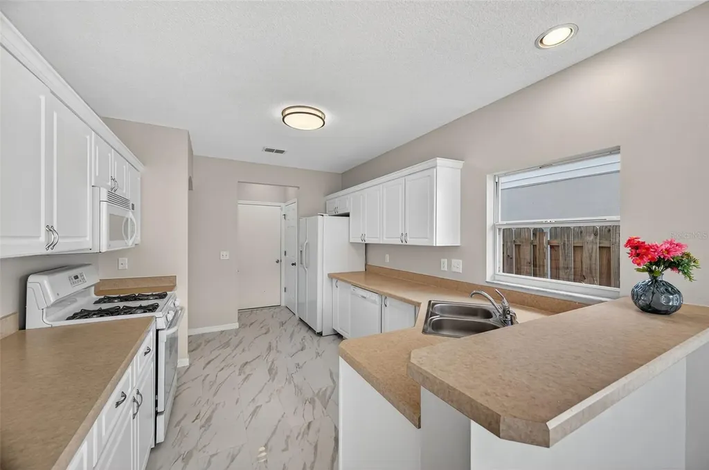 28632 Seashell Court Wesley Chapel FL 33545