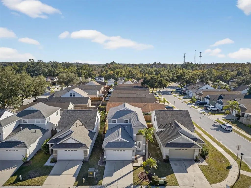 28632 Seashell Court Wesley Chapel FL 33545