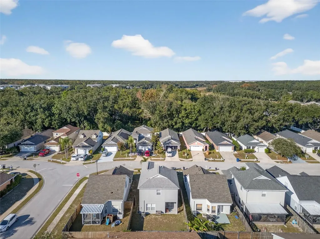 28632 Seashell Court Wesley Chapel FL 33545