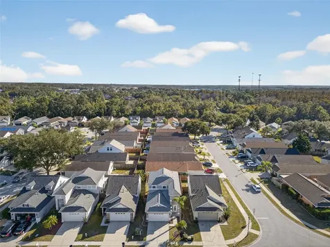 28632 Seashell Court Wesley Chapel FL 33545