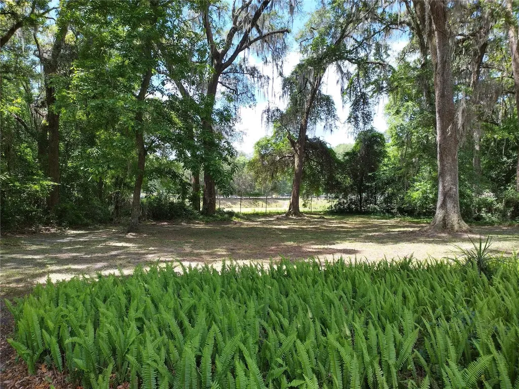 1602 SW Williston Road Gainesville FL 32608