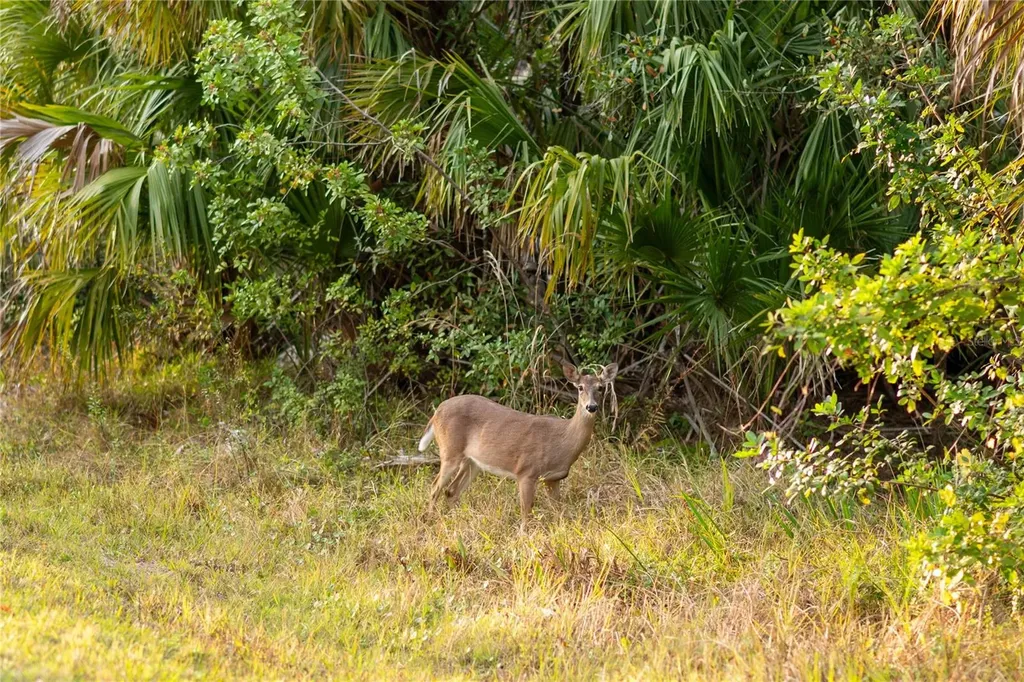 Kamsler Avenue North Port FL 34286