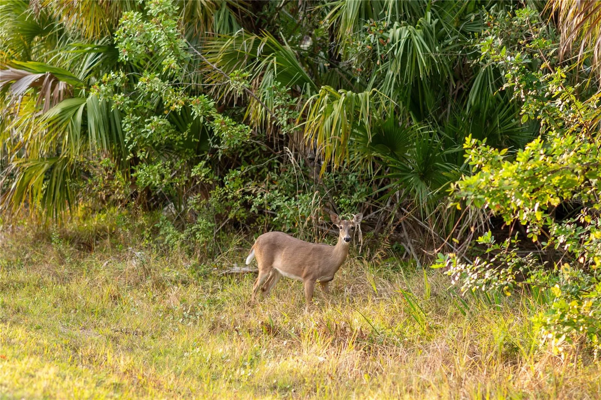 Kamsler Avenue North Port FL 34286