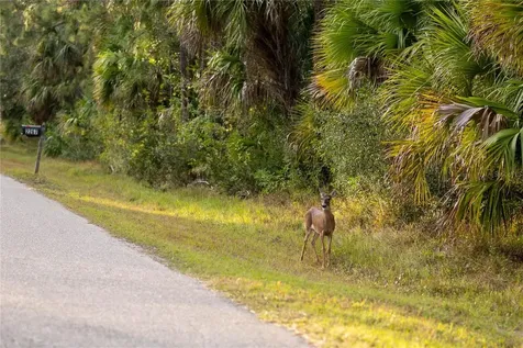 Kamsler Avenue North Port FL 34286