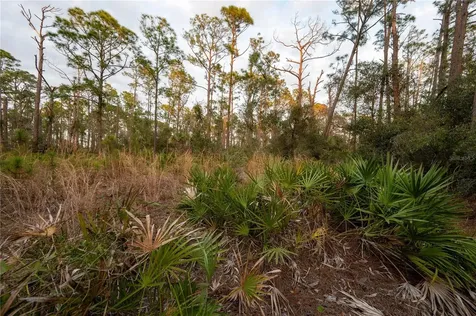 Kamsler Avenue North Port FL 34286