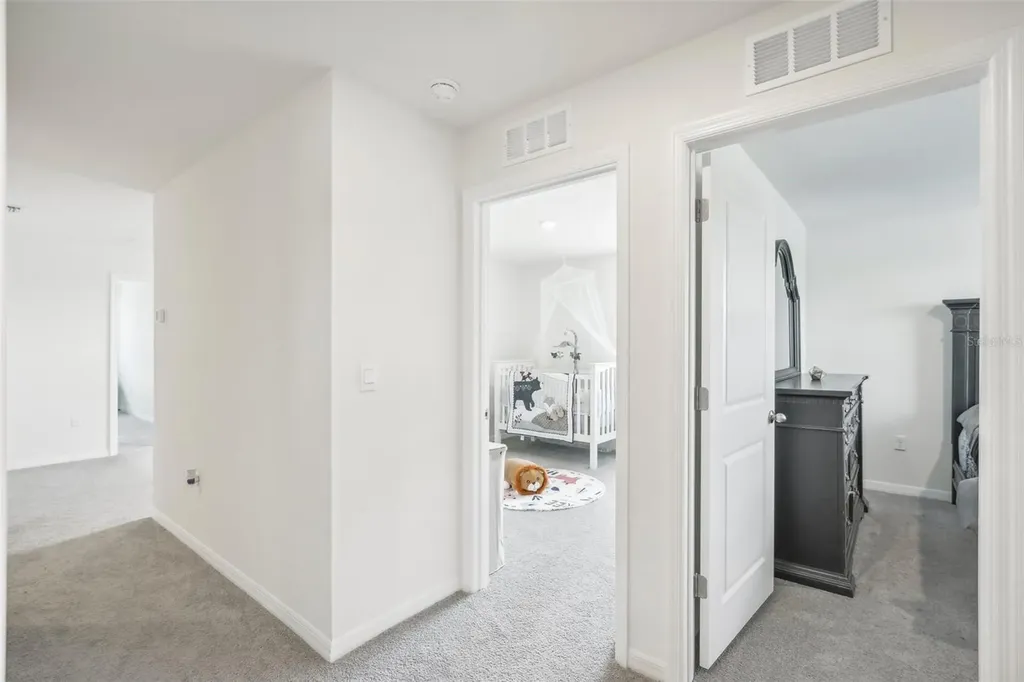 11637 Saw Palmetto Lane Riverview FL 33569