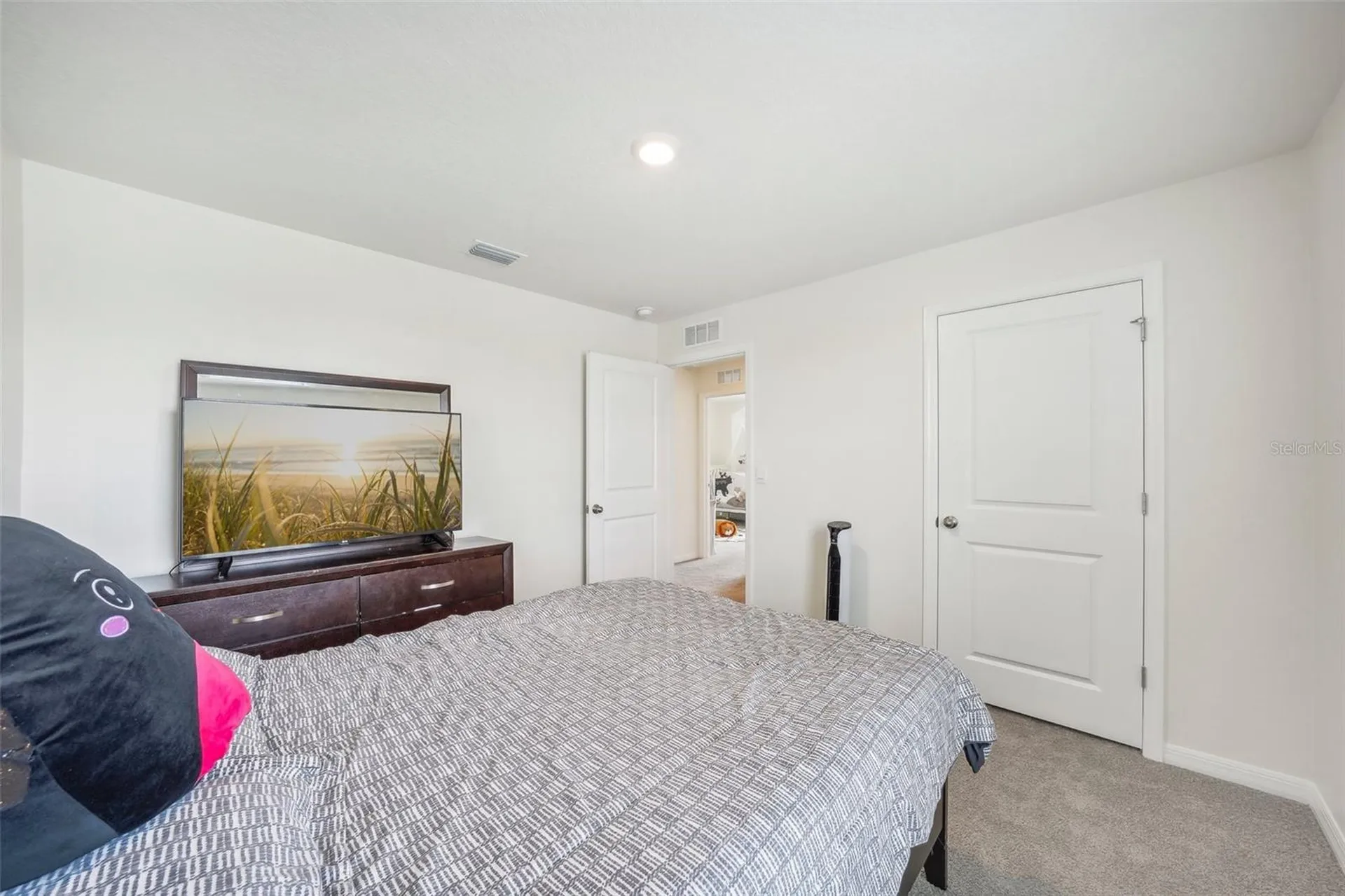 11637 Saw Palmetto Lane Riverview FL 33569