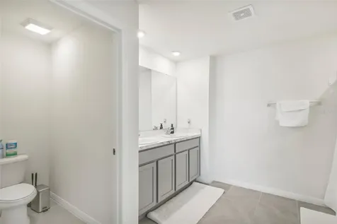 11637 Saw Palmetto Lane Riverview FL 33569