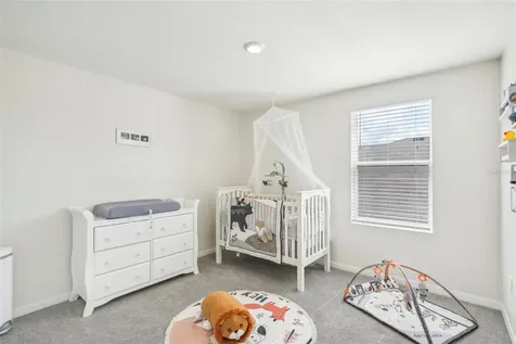 11637 Saw Palmetto Lane Riverview FL 33569