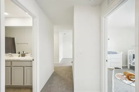 11637 Saw Palmetto Lane Riverview FL 33569
