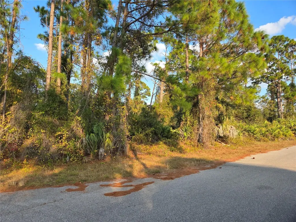 Kendsha Street North Port FL 34288