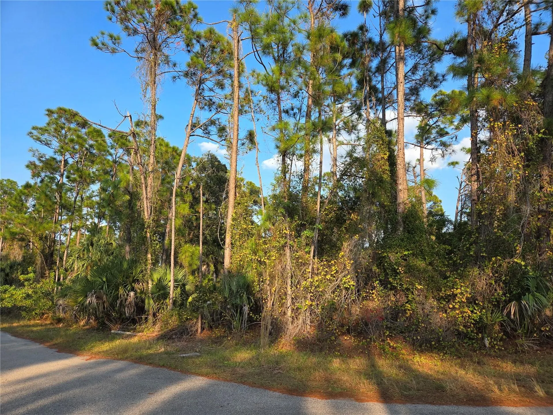 Kendsha Street North Port FL 34288