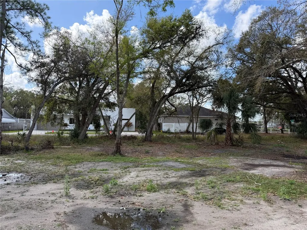 Lots 45830a,b And C New York Drive Tampa FL 33619