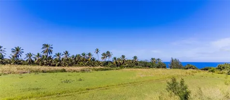 3 Bo. Terranova Quebradillas PR 00678