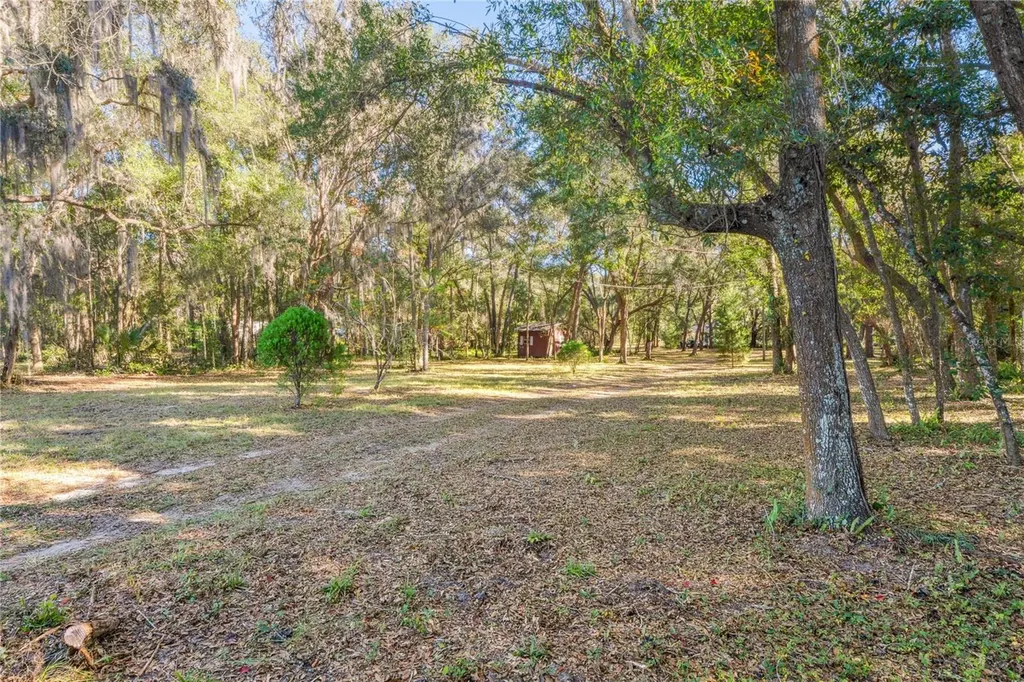 26861 Mondon Hill Road Brooksville FL 34601