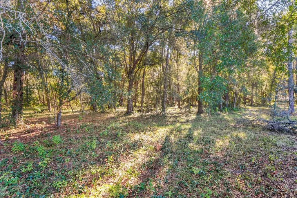 26861 Mondon Hill Road Brooksville FL 34601