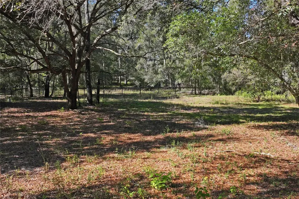 26861 Mondon Hill Road Brooksville FL 34601