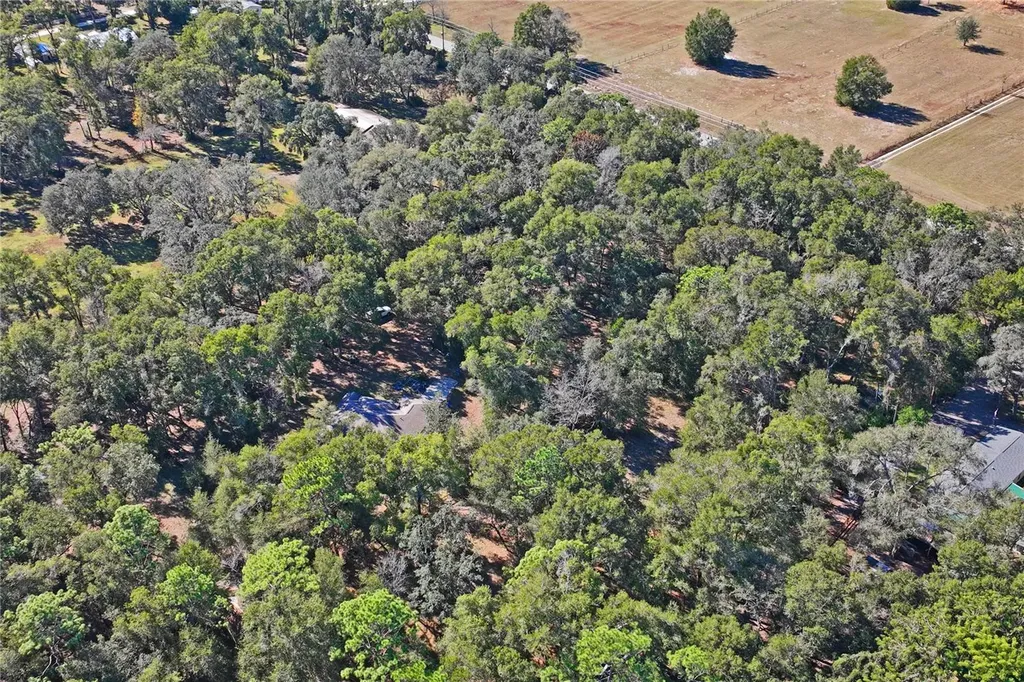 26861 Mondon Hill Road Brooksville FL 34601