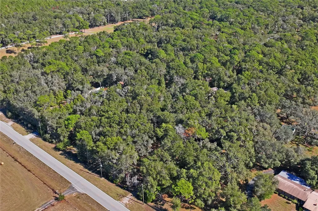 26861 Mondon Hill Road Brooksville FL 34601