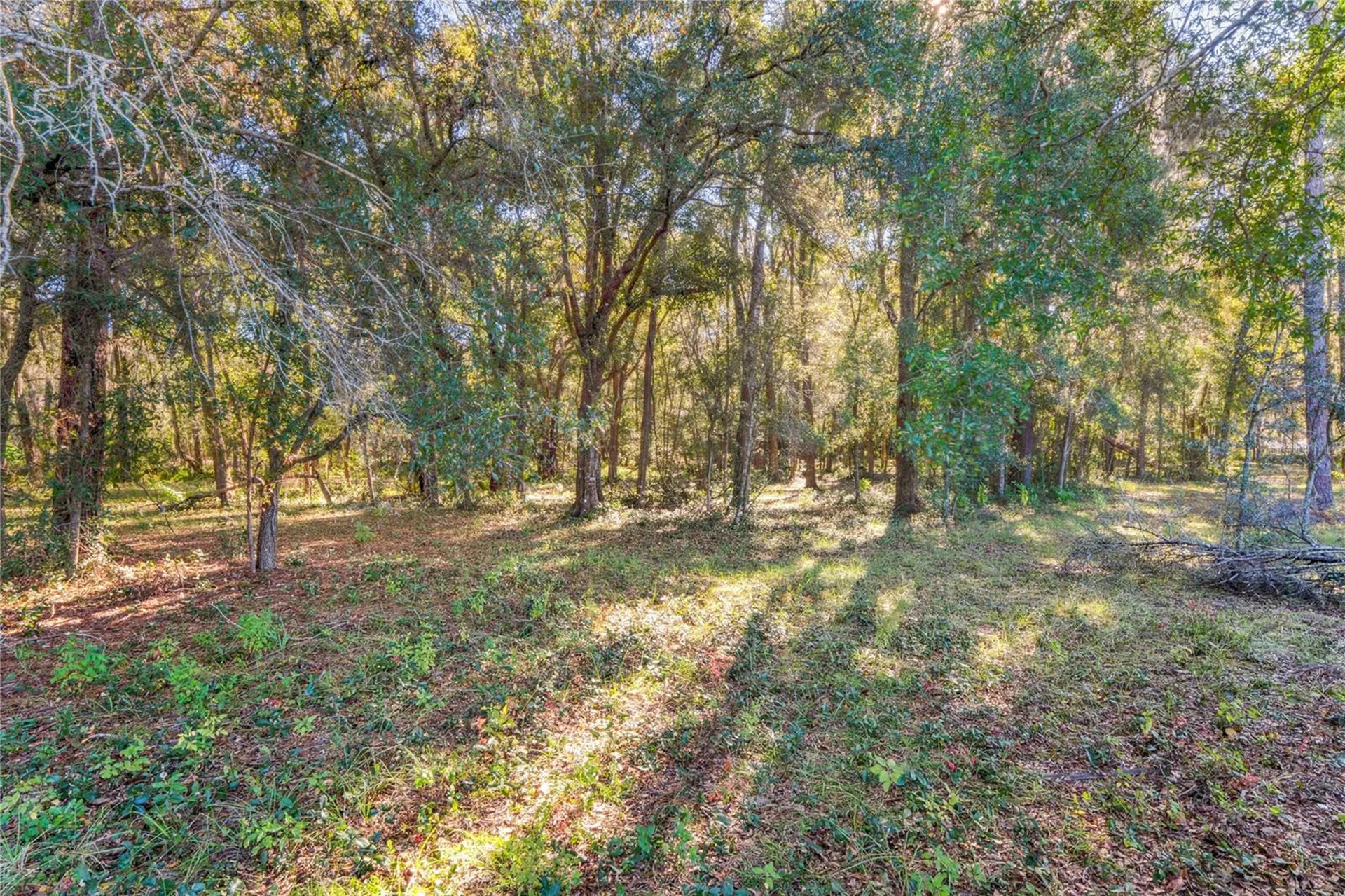 26861 Mondon Hill Road Brooksville FL 34601