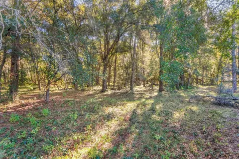26861 Mondon Hill Road Brooksville FL 34601