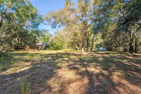 26861 Mondon Hill Road Brooksville FL 34601