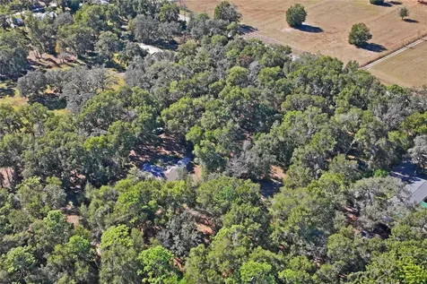 26861 Mondon Hill Road Brooksville FL 34601