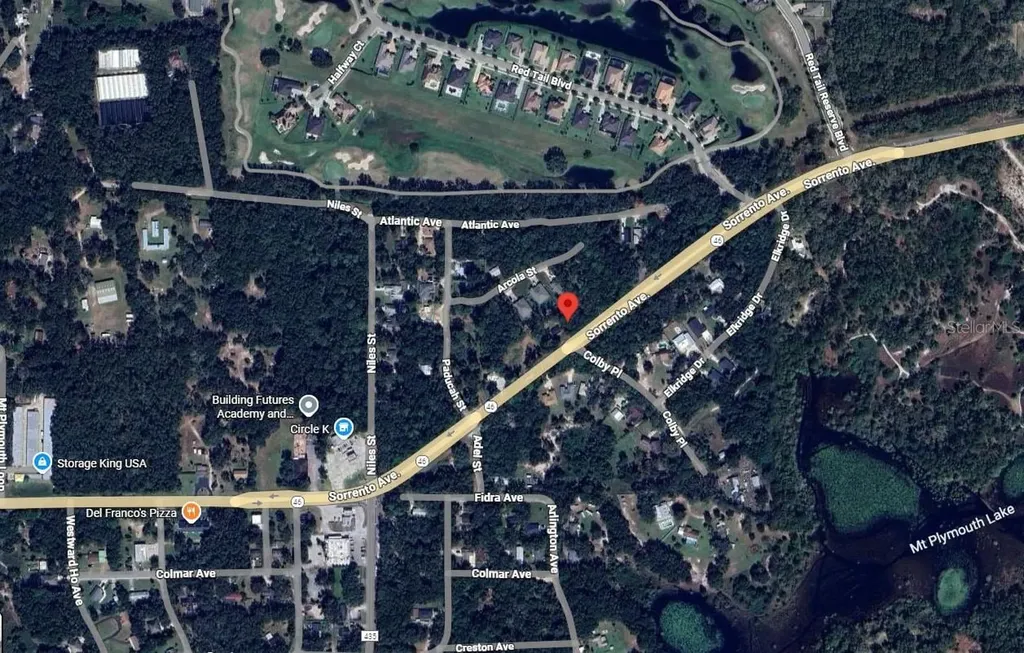 Tbd Sorrento Avenue Sorrento FL 32776